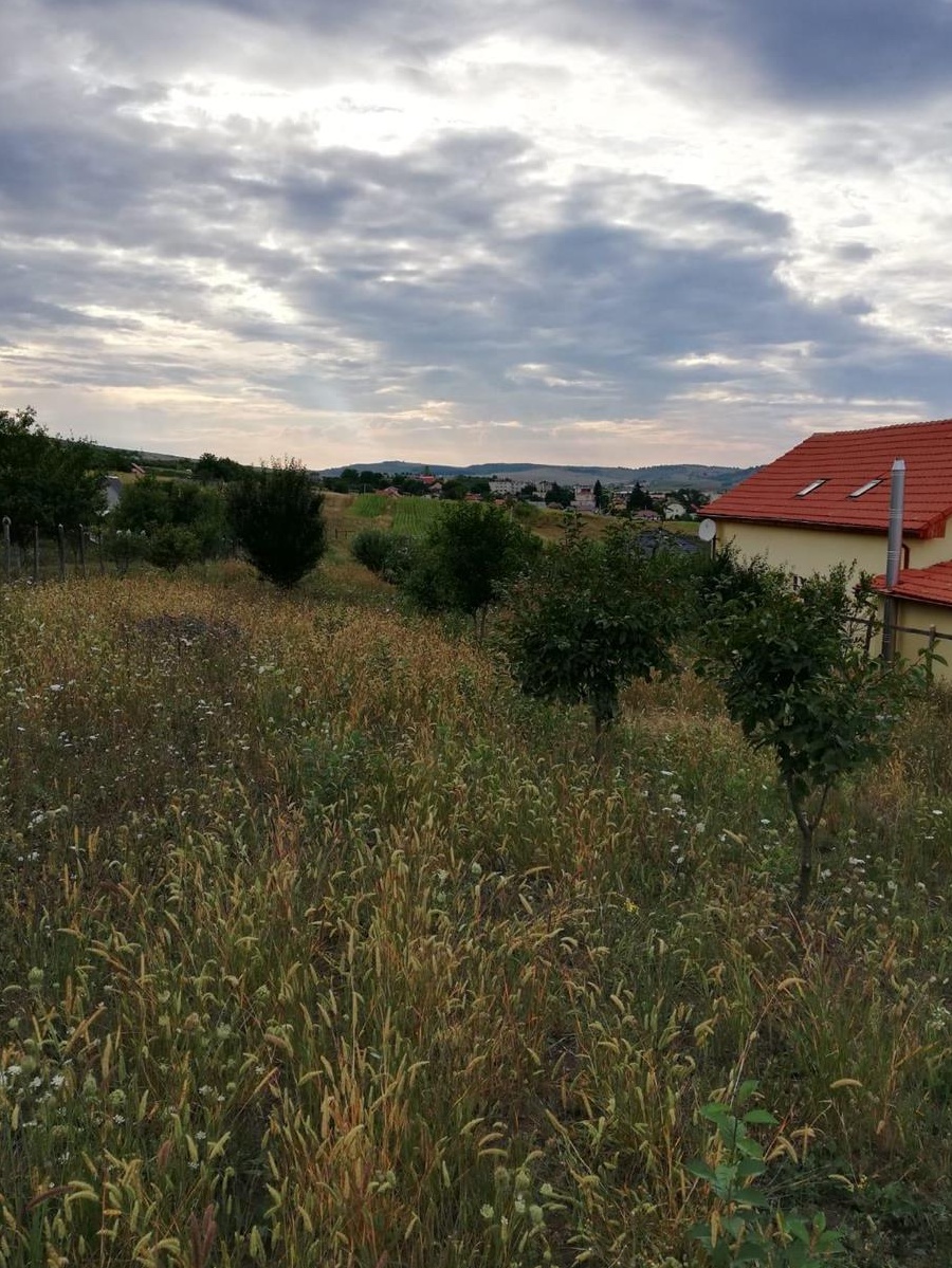 Vand teren intravilan  in Aghires Fabrici