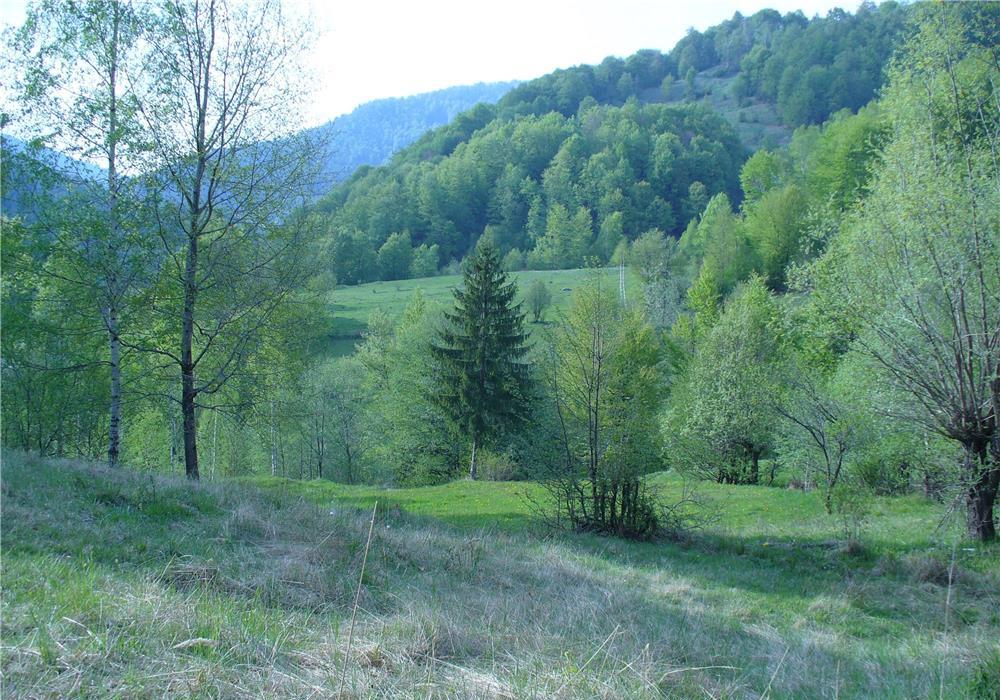 Vând teren intravilan în Gura Siriului județul Buzau