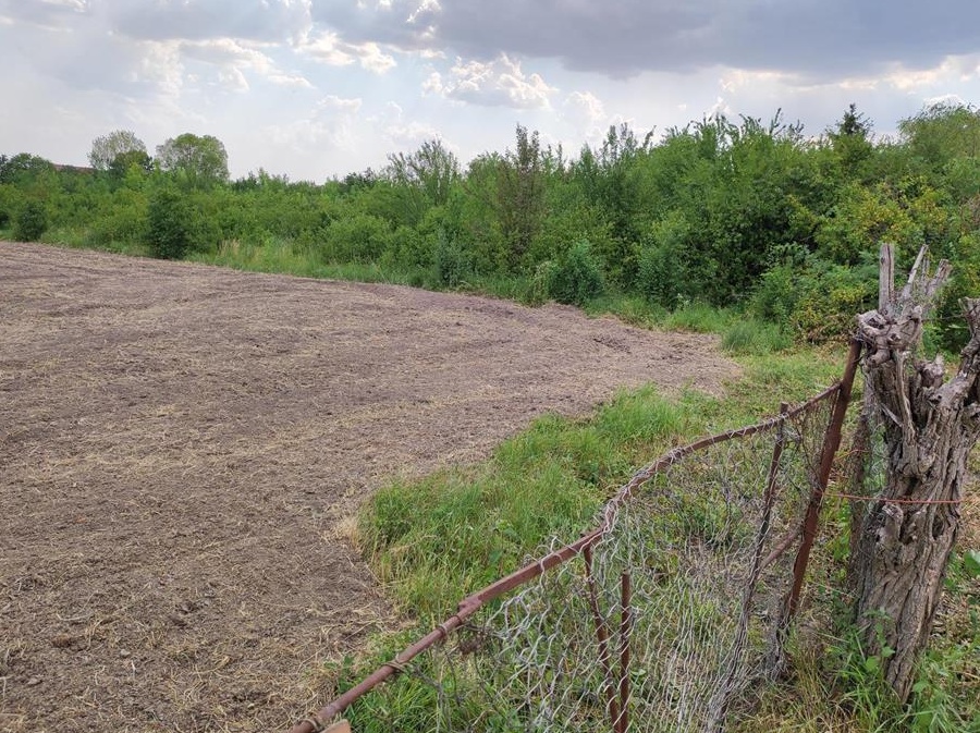 Vând teren intravilan în homorog