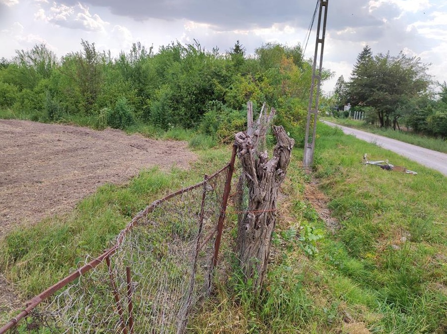 Vând teren intravilan în homorog