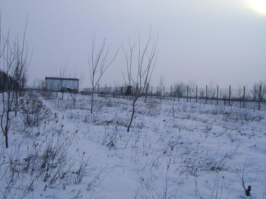 Vând teren intravilan în Milcov Deal, jud. Olt, 3000 m2
