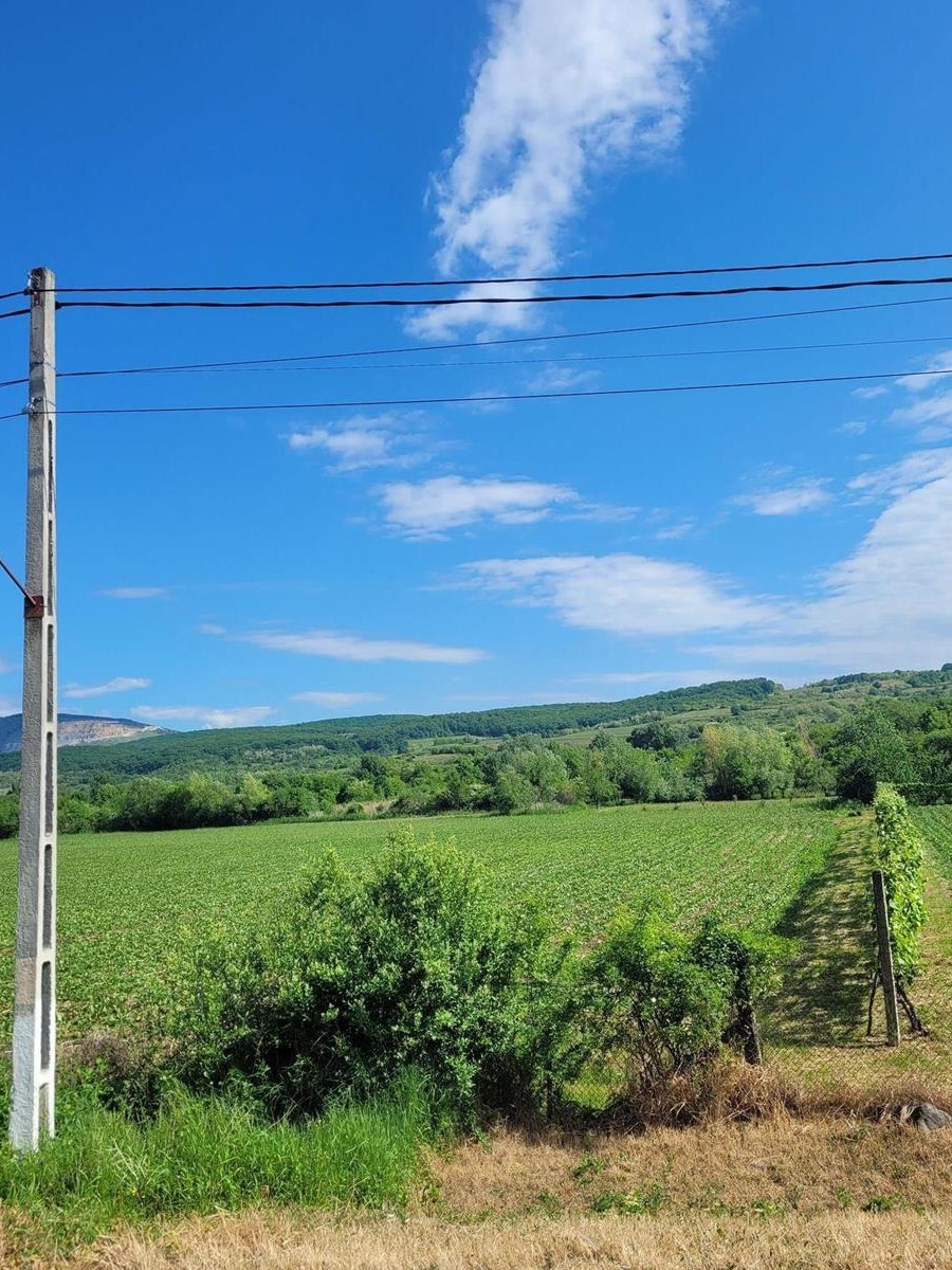 Vand teren intravilan in Stremt jud Alba