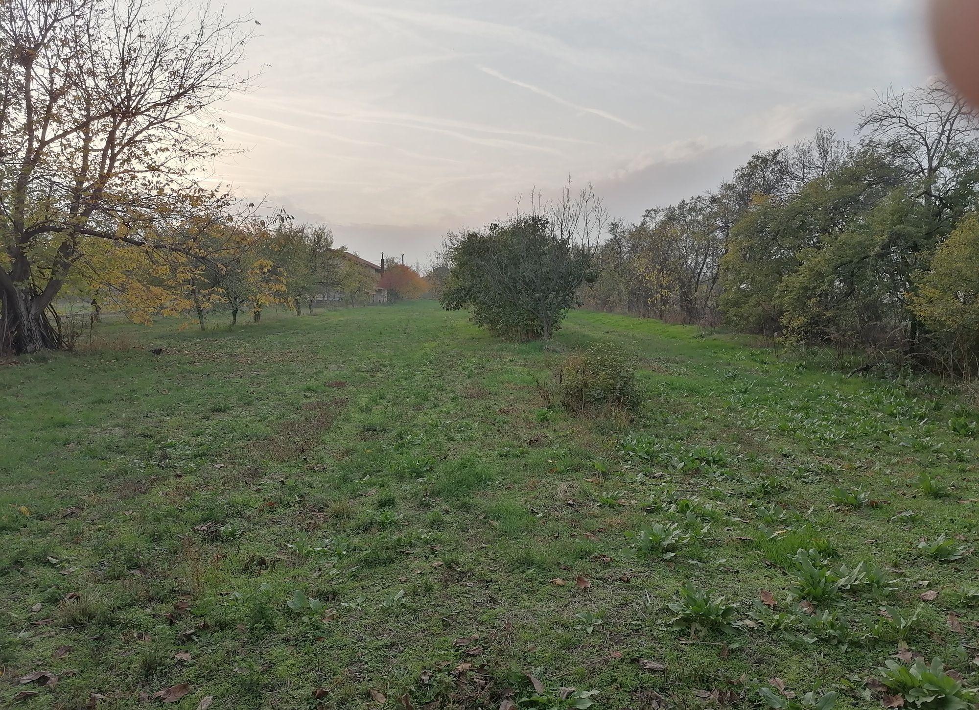 Vând teren intravilan sat Cerneti 5 km Drobeta Turnu Severin