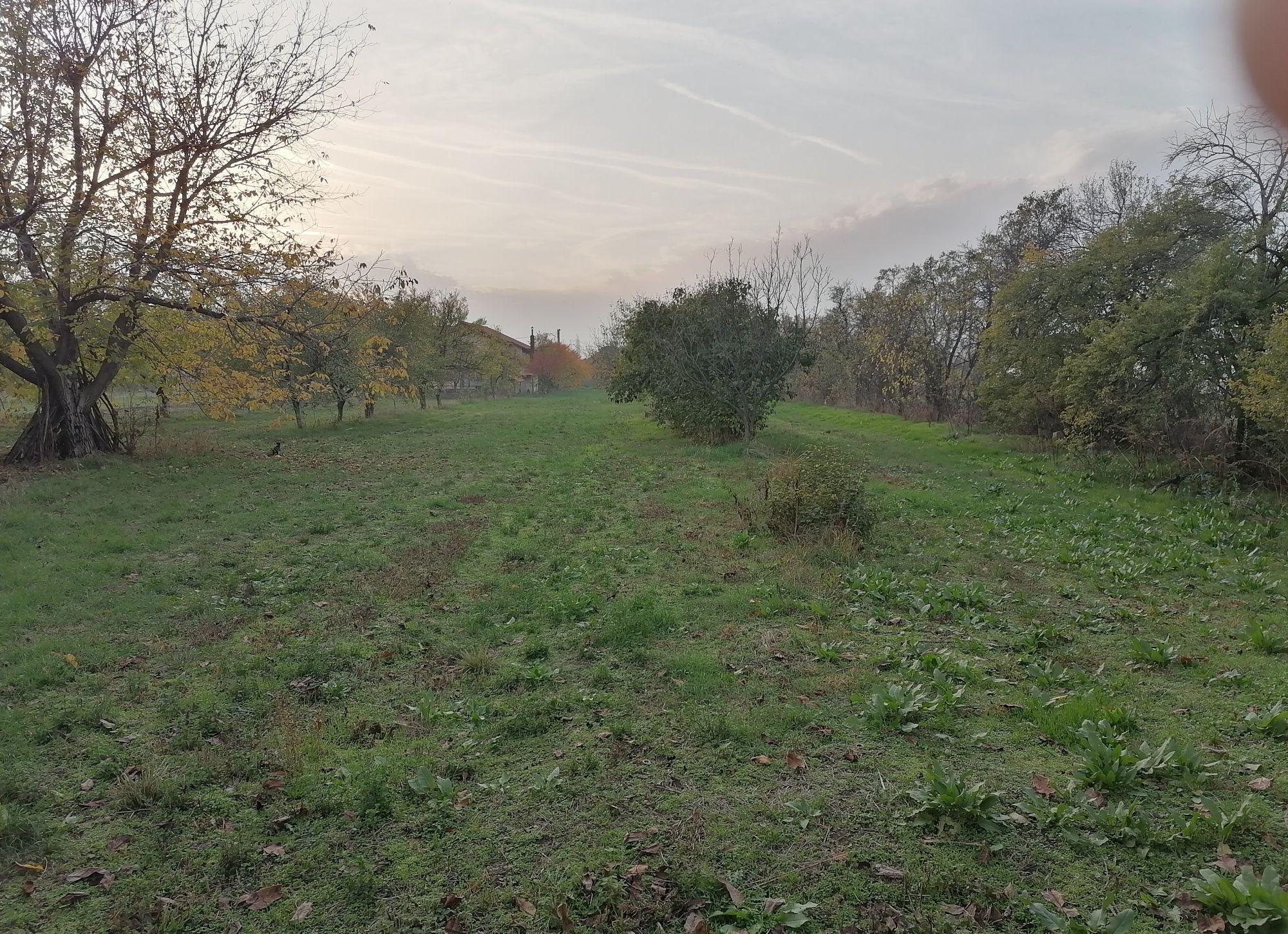 Vând teren intravilan sat Cerneti 5 km Drobeta Turnu Severin