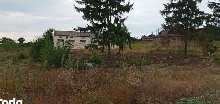 vand teren intravilan si hala industriala