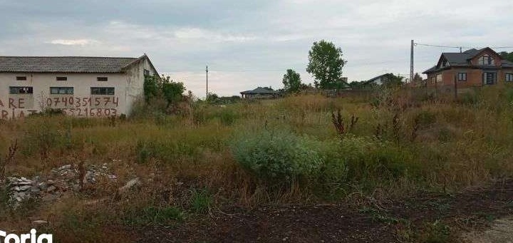 vand teren intravilan si hala industriala