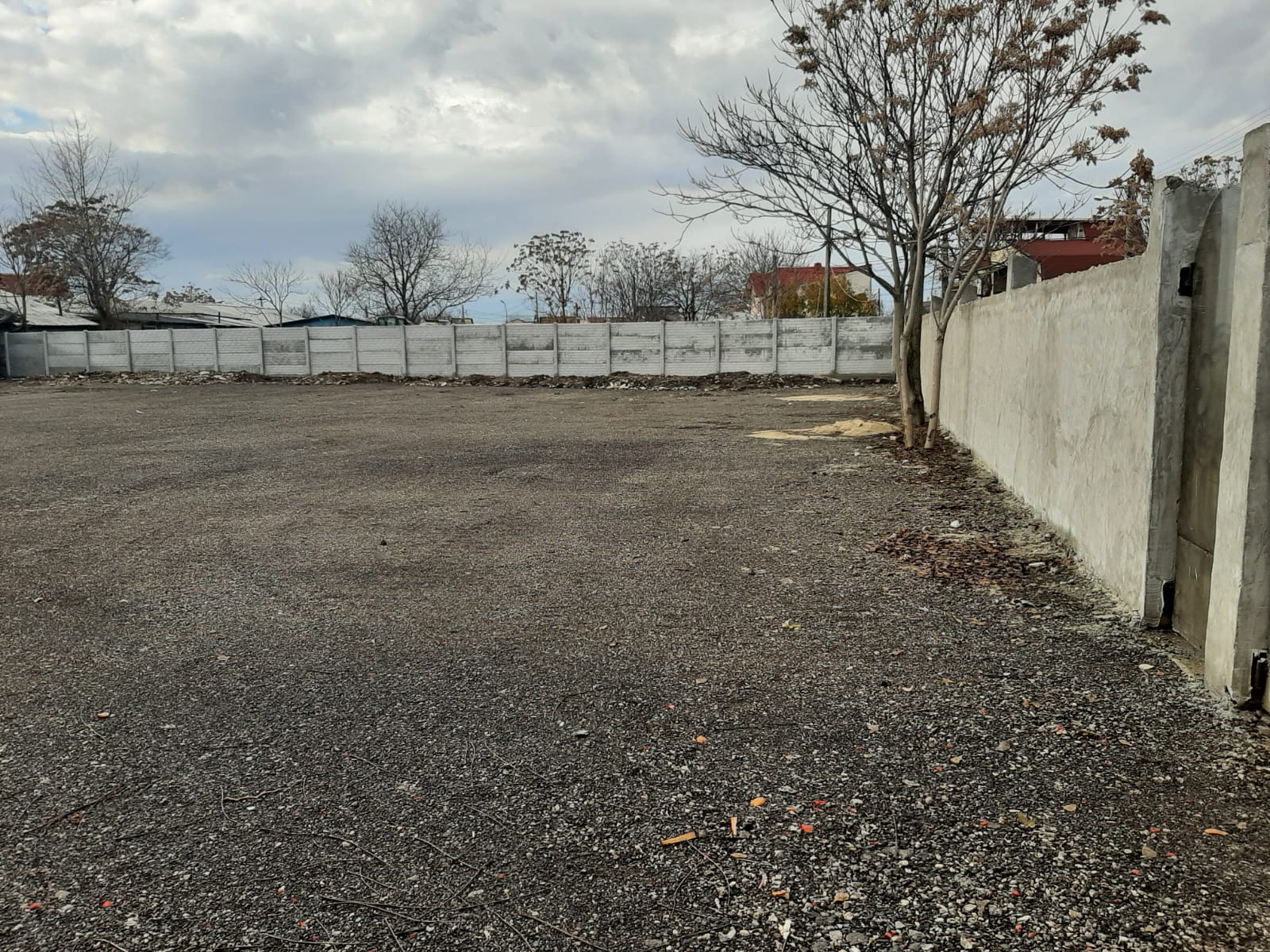 Vand teren intravilan Str Neptun 250€/mp