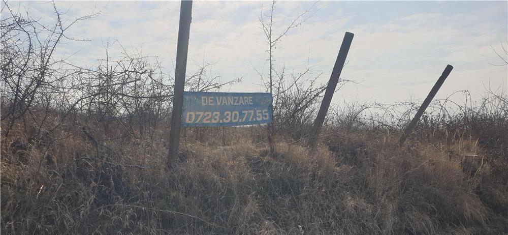 Vand teren intravilan zona Colinelor , 1000 mp , utilitati , panorama