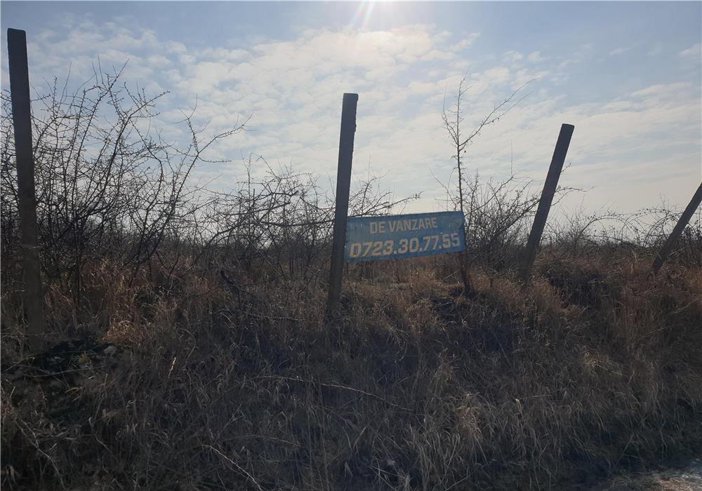 Vand teren intravilan zona Colinelor , 1000 mp , utilitati , panorama
