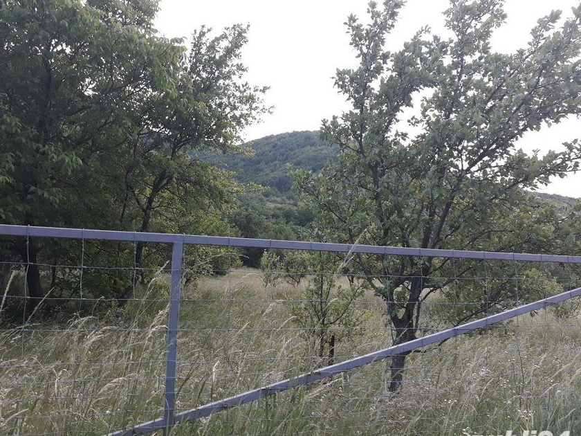 Vand teren intravilan,Retezat,Rau de Mori,sat Suseni,10km sub Râușor