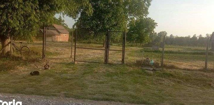 Vand teren intravilant 6650 m2 la Ciocaia 25 km de Oradea
