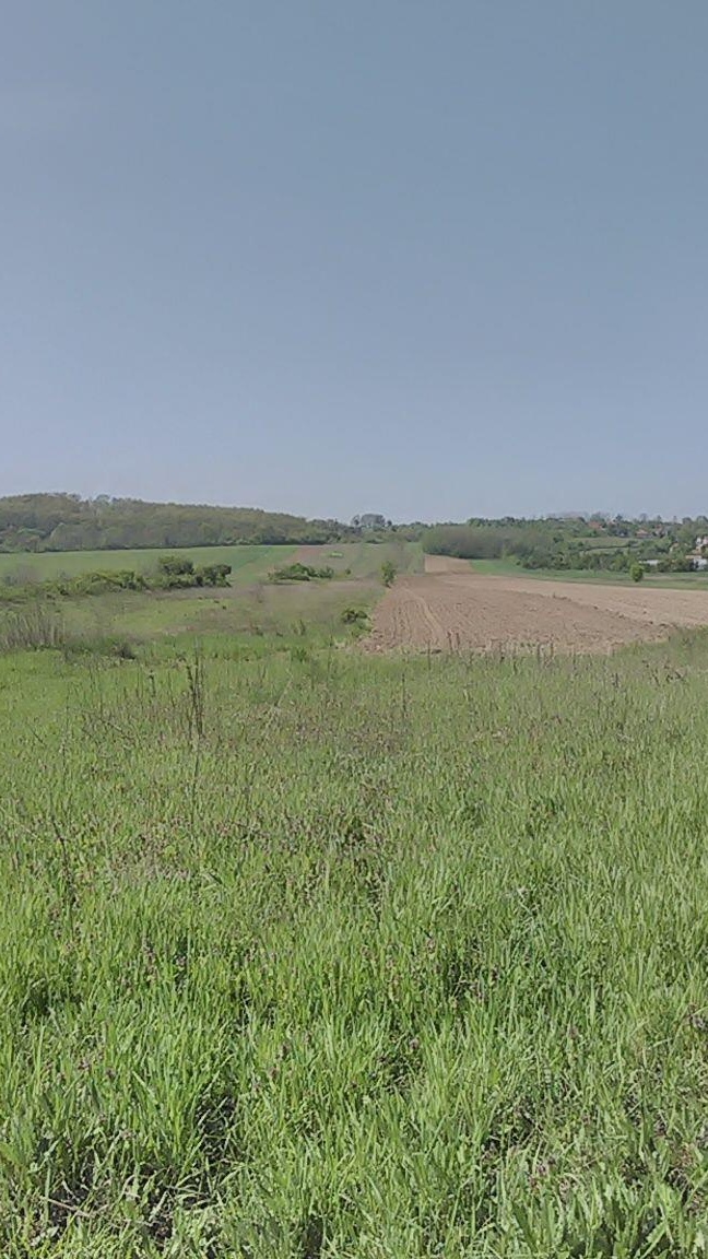 Vand teren la 5 km de Motru