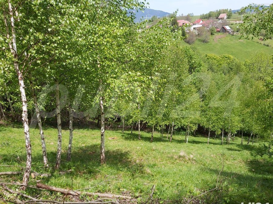 Vand teren Moieciu de Jos.