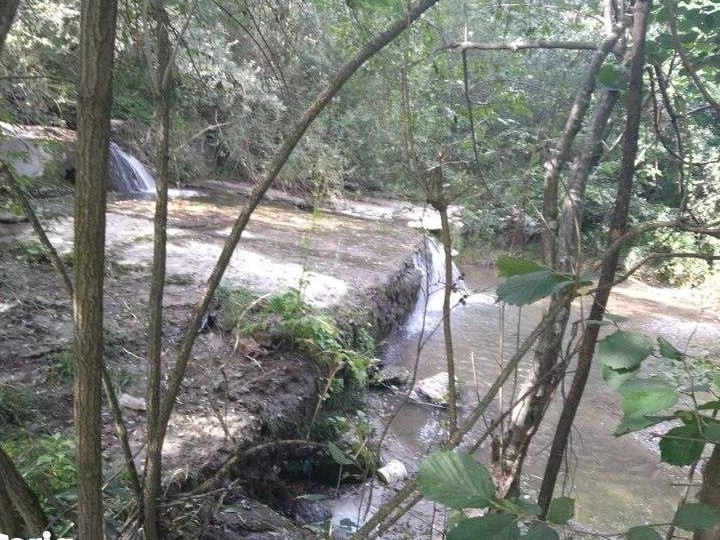 Vand teren munte Arefu (Vidraru)