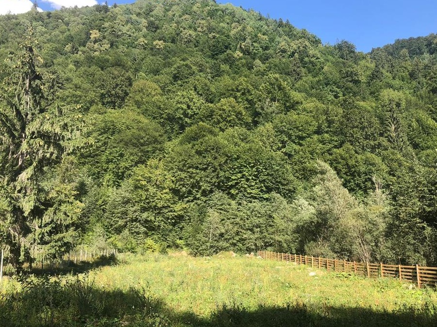 Vand teren pe Valea Aniesului