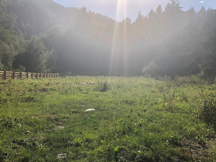 Vand teren pe Valea Aniesului