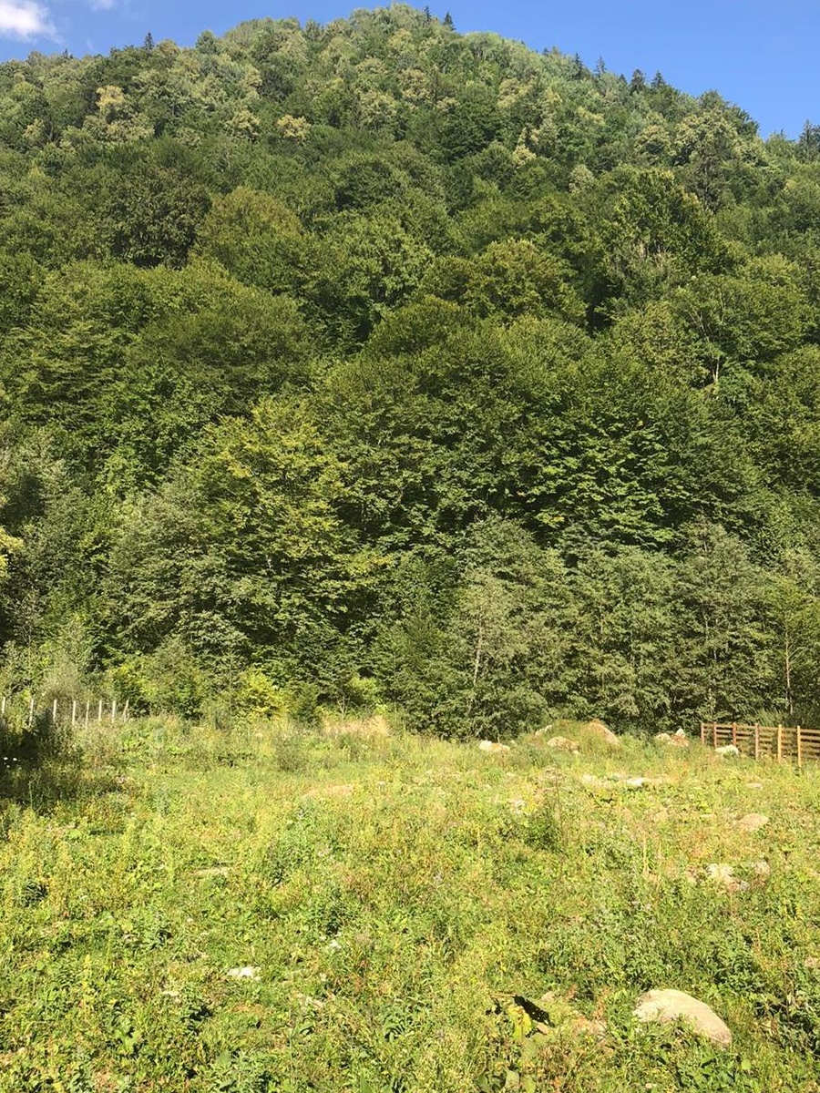 Vand teren pe Valea Aniesului
