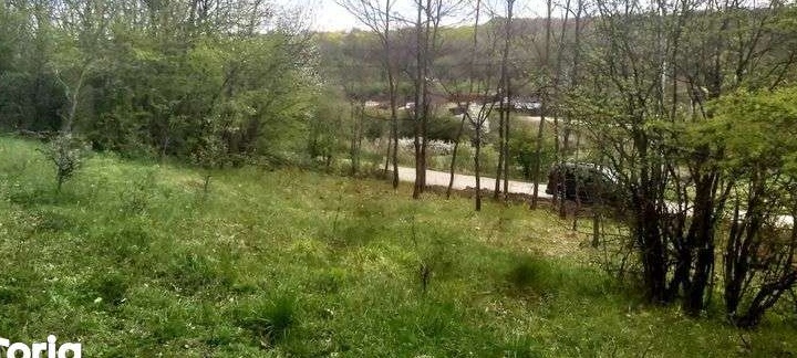 Vand Teren Podari