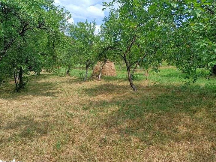 Vând Teren Rădești Stalpeni