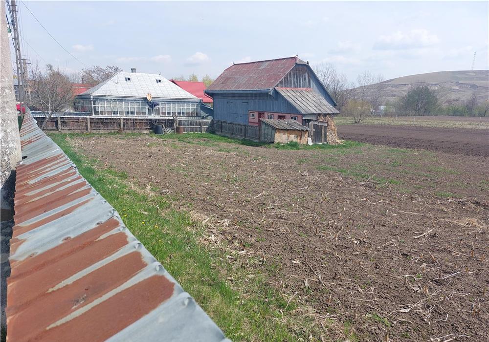 Vând teren,casa și anexe