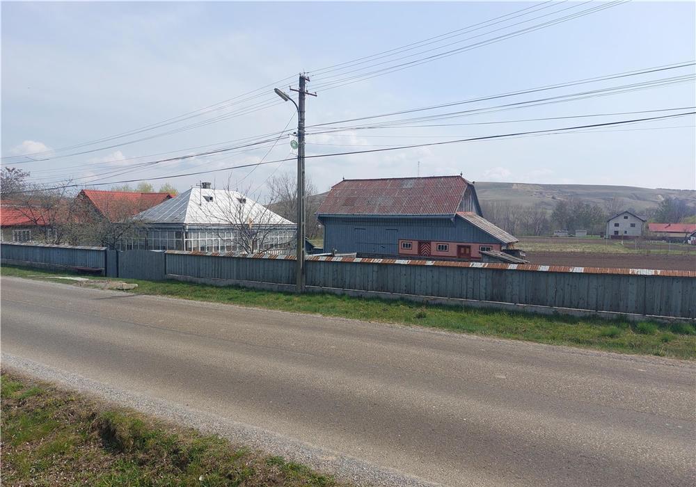 Vând teren,casa și anexe