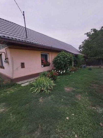 Vand urgent casa cu gradina Seini, Maramures