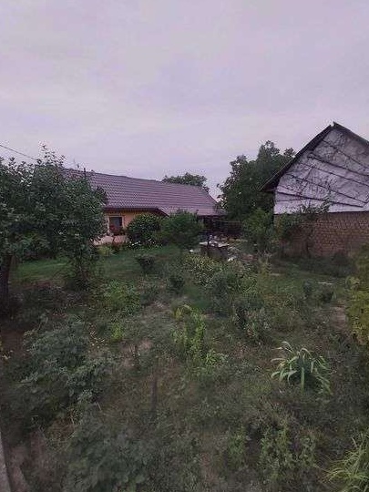 Vand urgent casa cu gradina Seini, Maramures