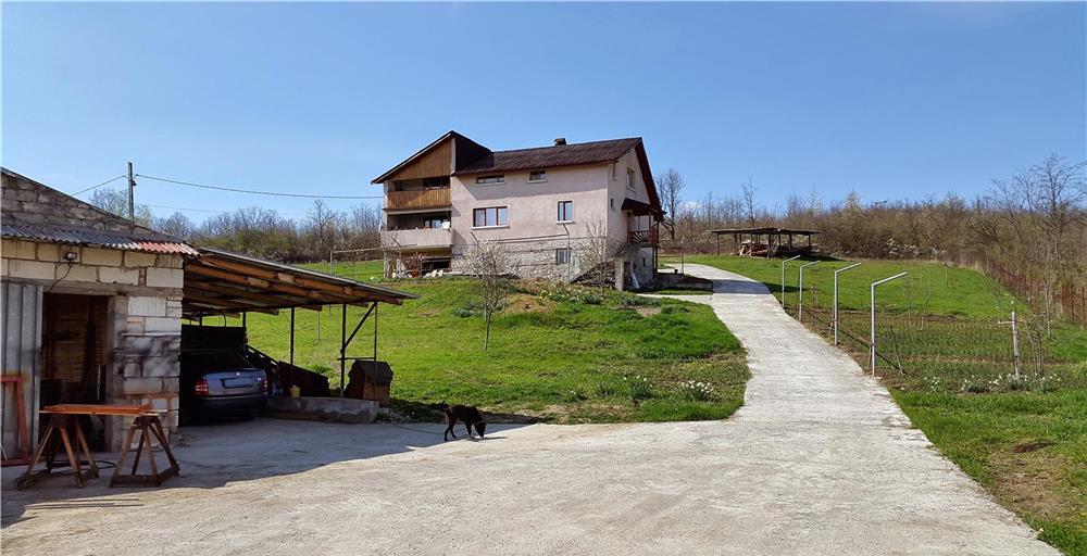Vand Vila cu 6 camere si teren 9 000 m