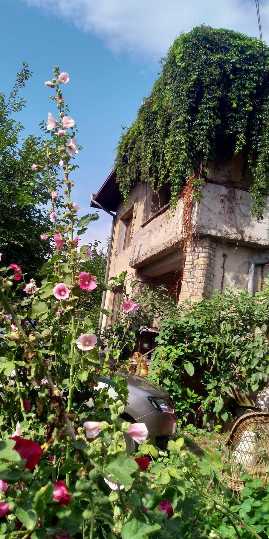 Vând Vila cu teren de 2000 mp.
