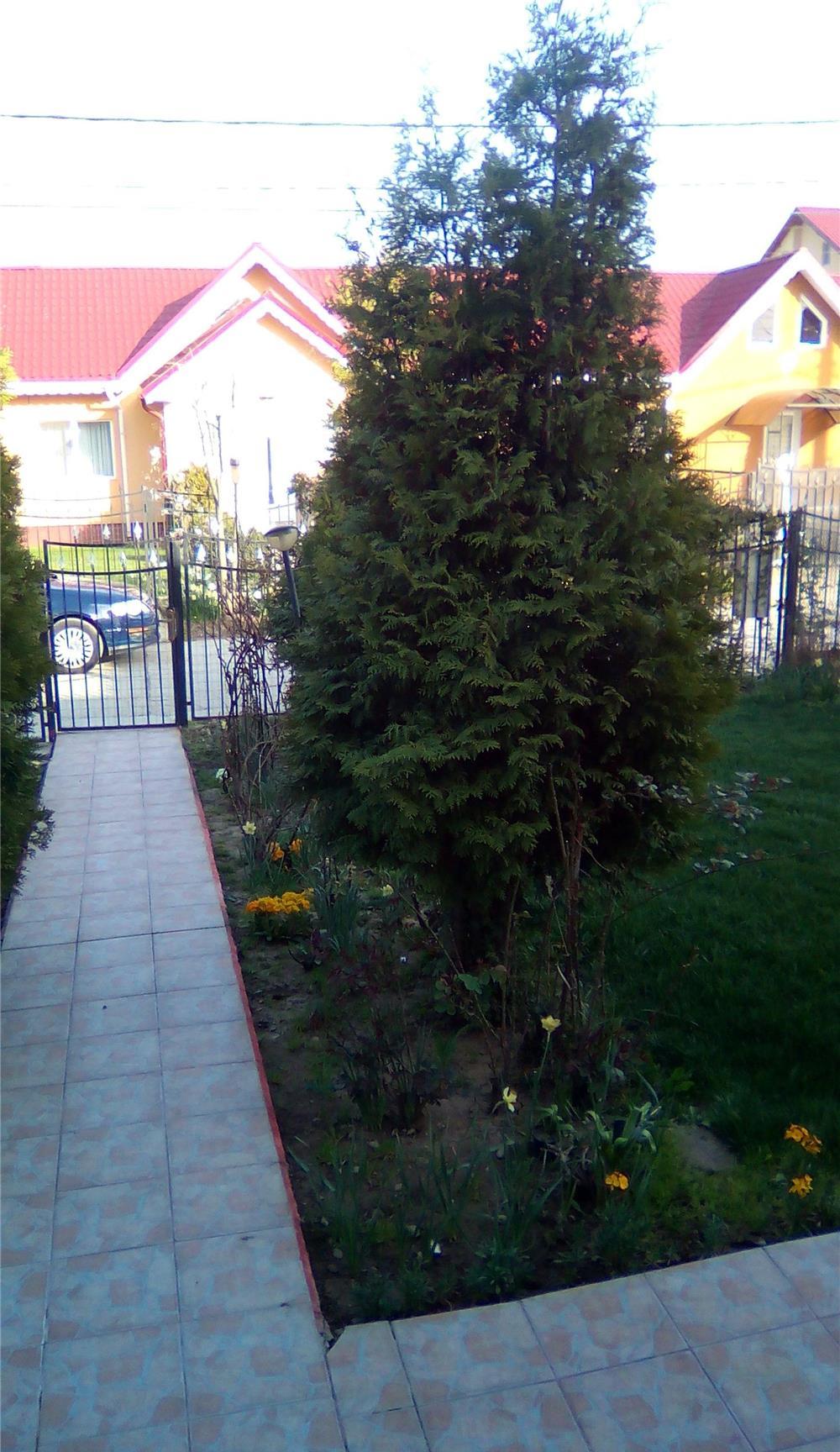Vand vila P+M