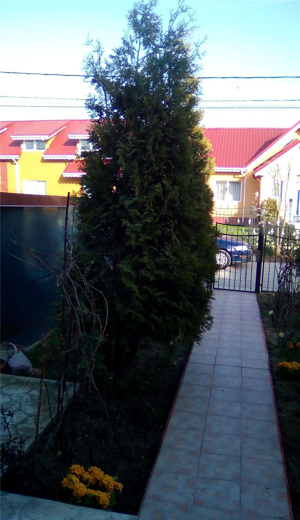 Vand vila P+M