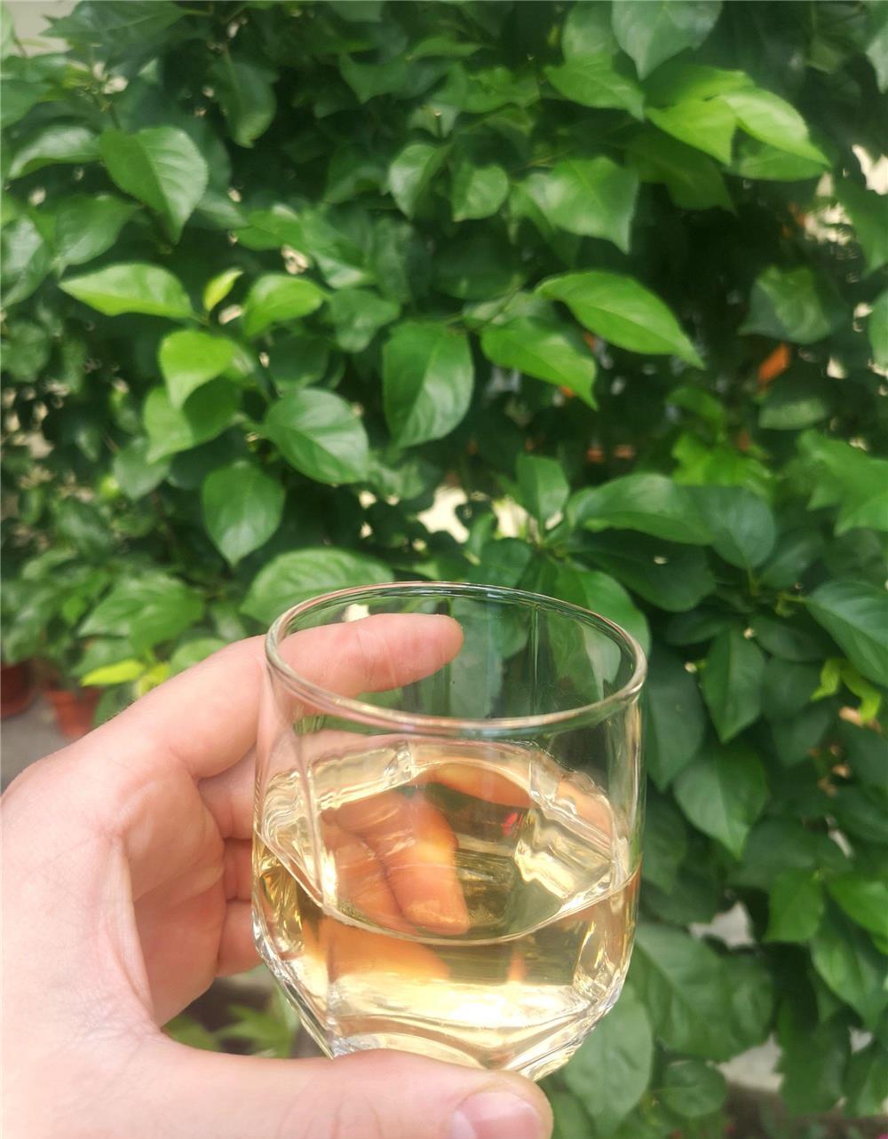 Vând vin din feteasca regala alba & țuică