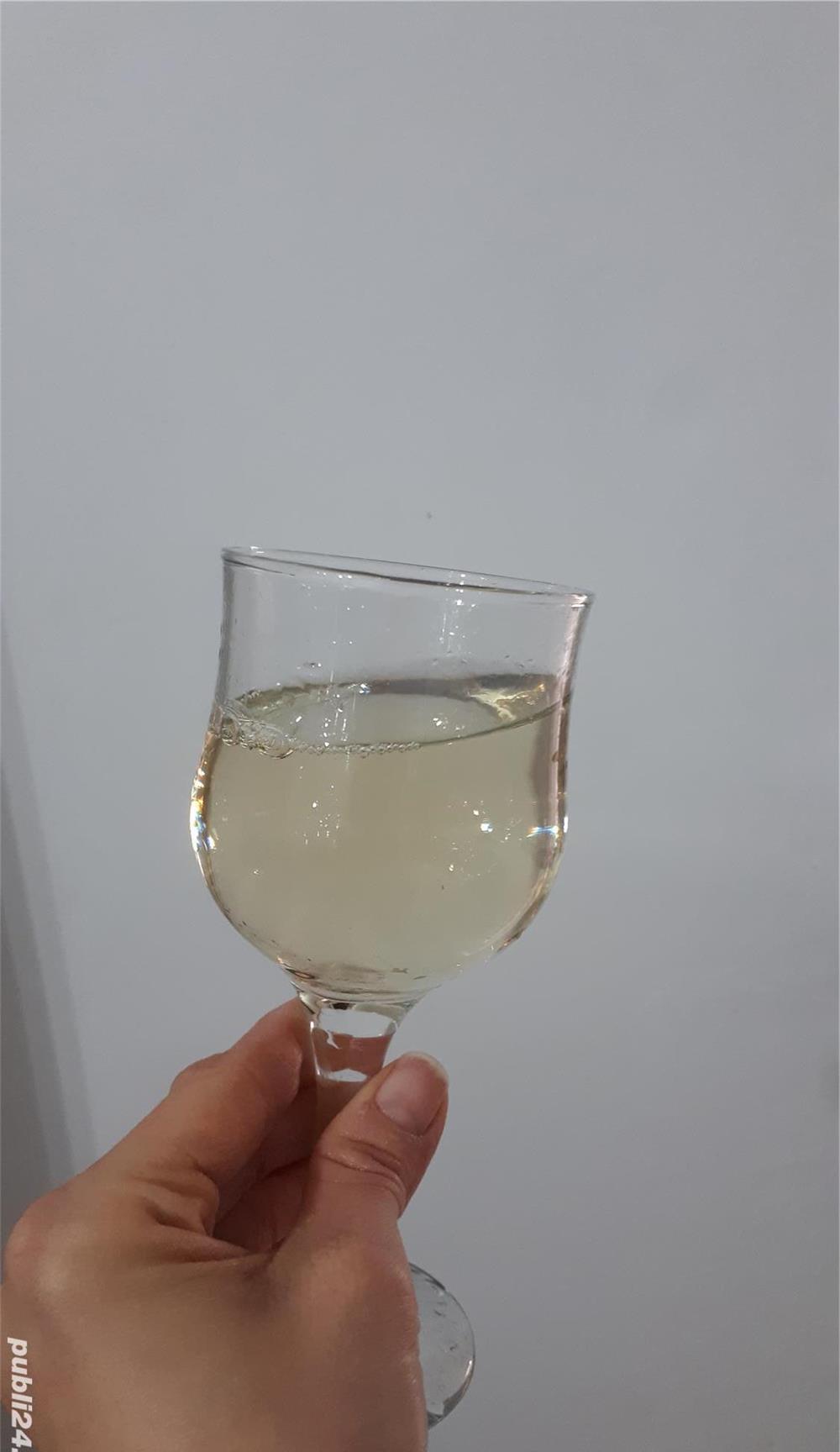 Vand vin din struguri nobili