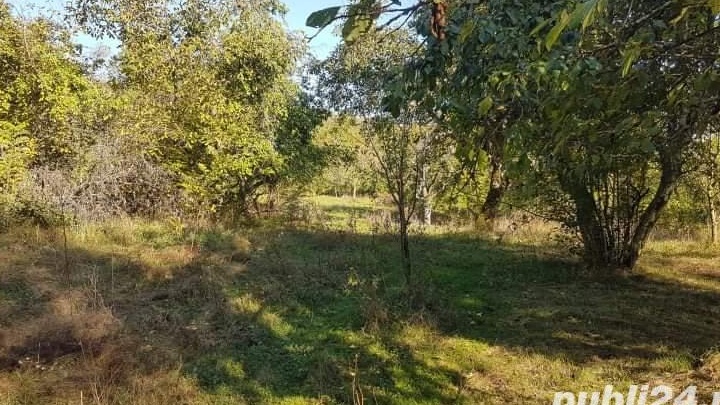 Vânt teren 10500 mp urgent