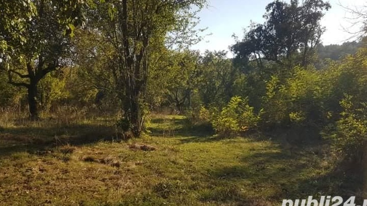 Vânt teren 10500 mp urgent