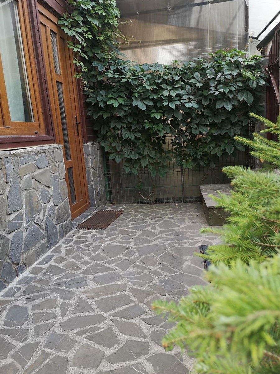 vanzare casa de vacanta in Busteni