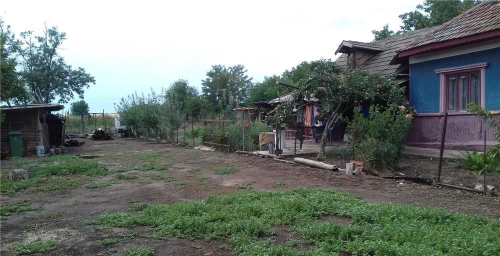 Vanzare casa și  teren  în  Surlari