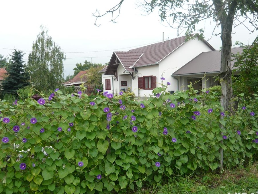 Vânzare casa! ( Ungaria )