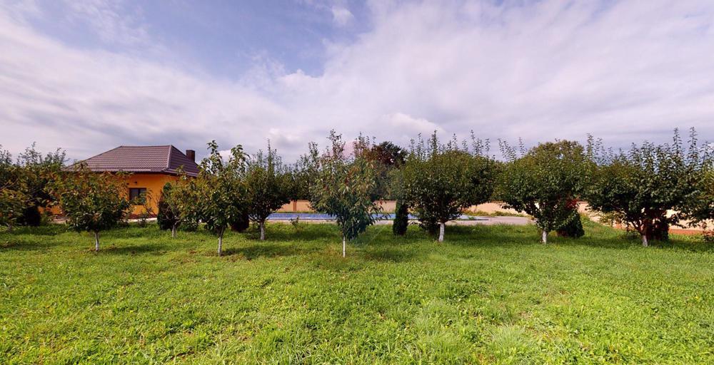 Vanzare Conac Visan 550 mp utili+ Teren 5300 mp