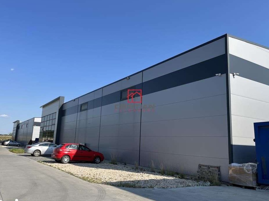 Vanzare depozit\/hala\/spatiu industrial Mogosoaia - Chitila, ILFOV