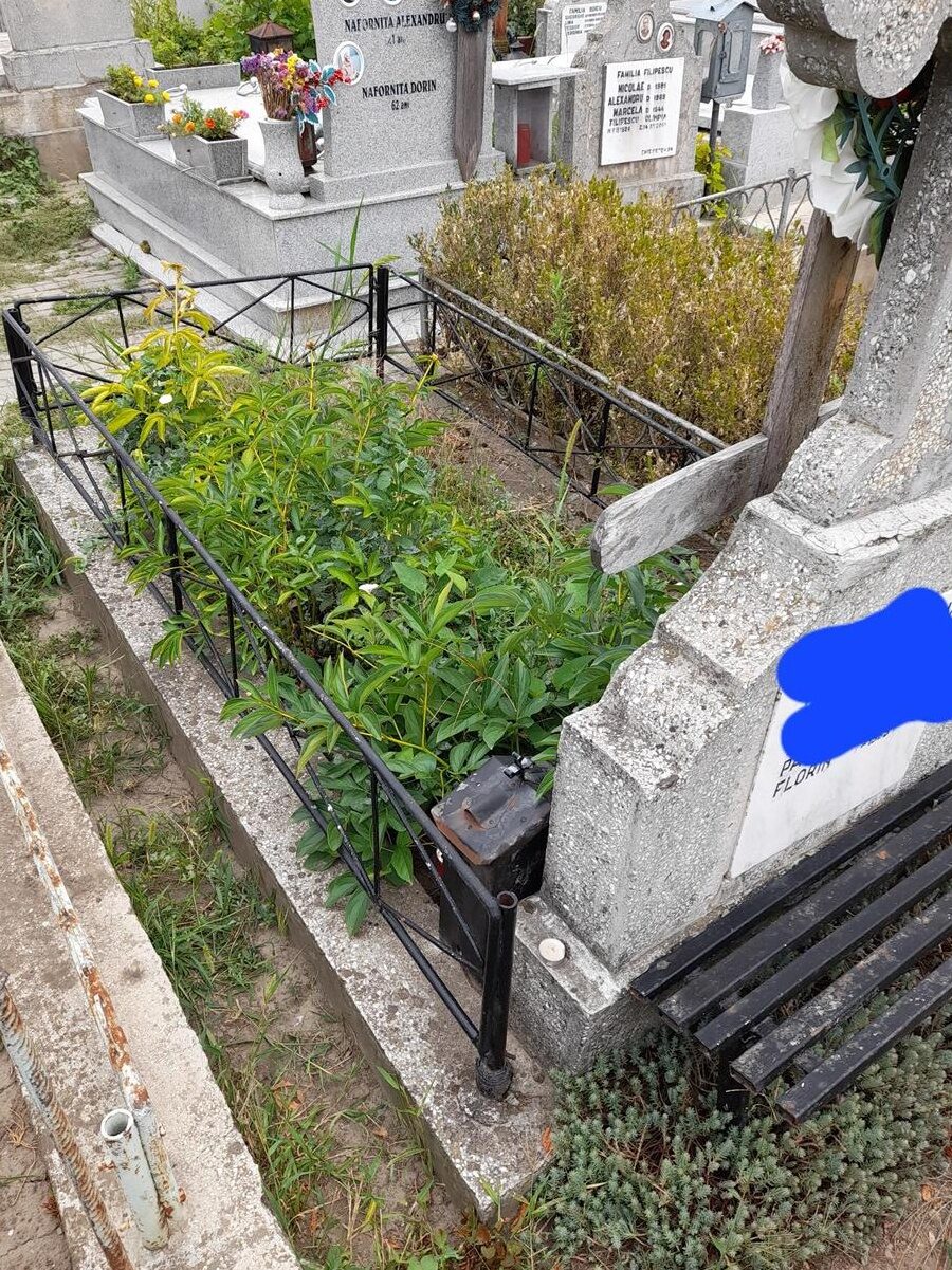 Vânzare loc de veci