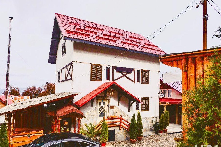 Vanzare Pensiune Straja