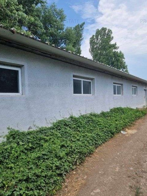 Vânzare proprietate industrială Tomești