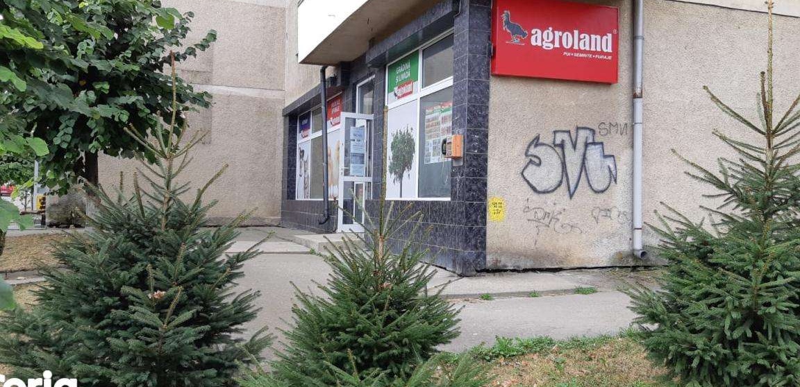 Vanzare spatiu comercial Moinesti, T. Vladimirescu 12