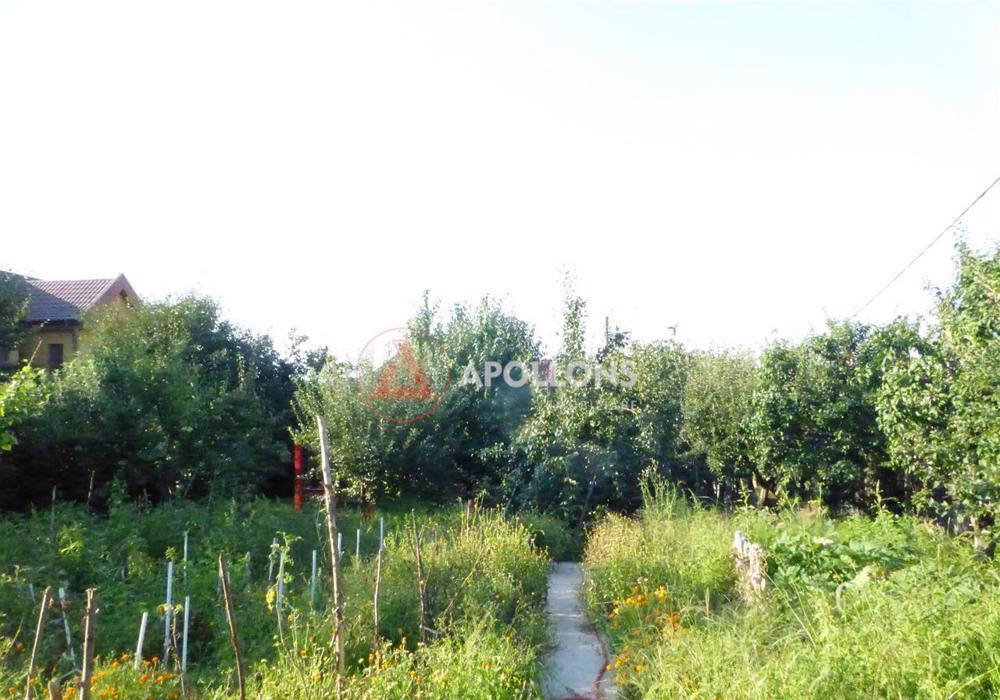 Vanzare Teren Dumbrava, Bacau