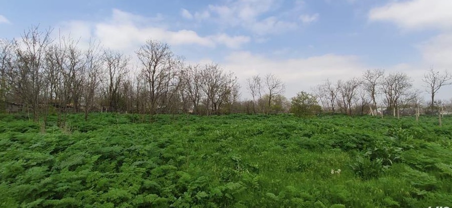 VÂNZARE TEREN INTRAVILAN 1000 mp sat Valea Cânepii Brăila
