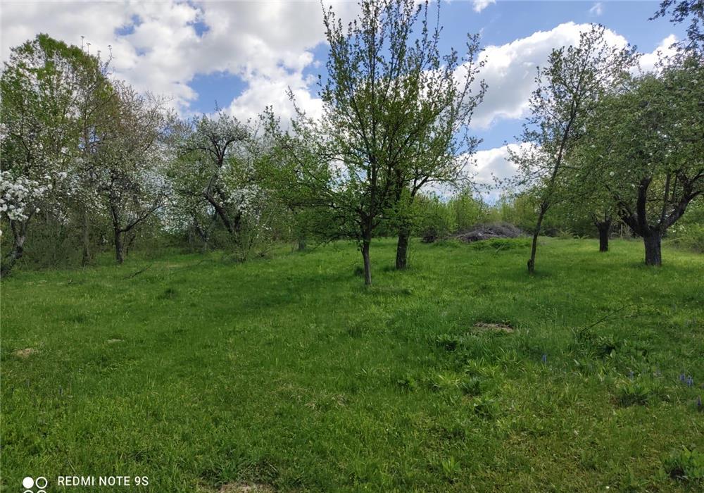 Vanzare teren intravilan 500 m2 Pucioasa zona Patrana