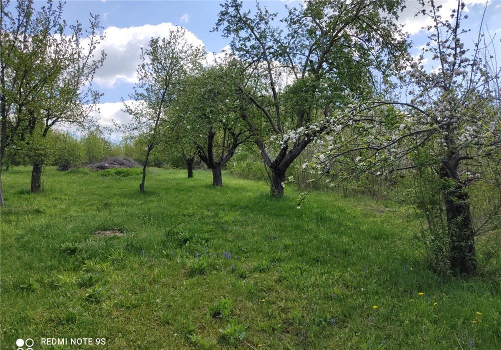 Vanzare teren intravilan 500 m2 Pucioasa zona Patrana