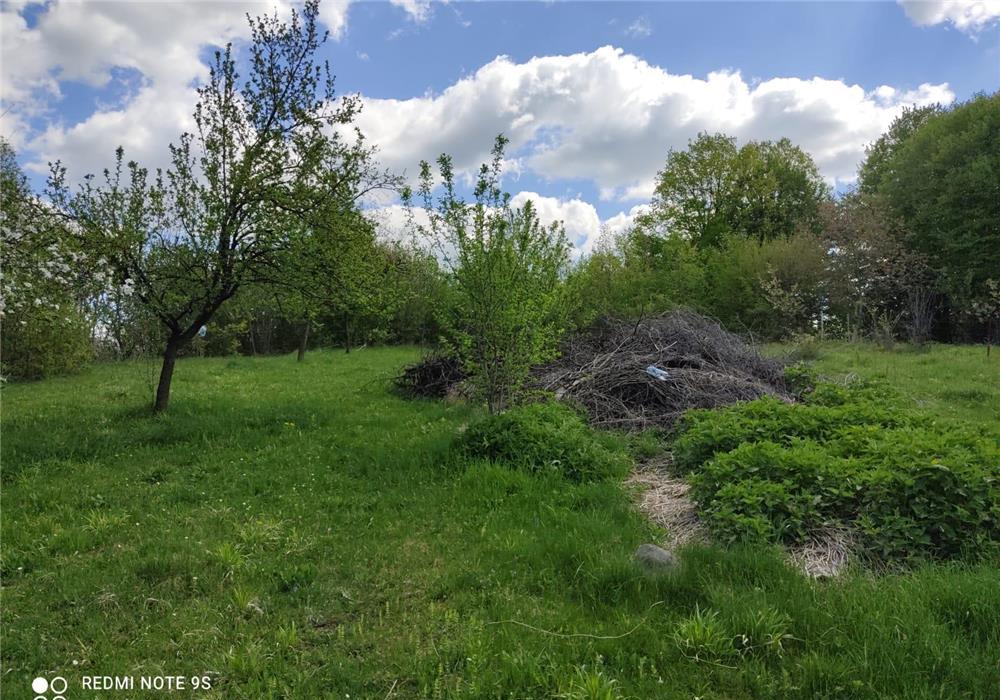 Vanzare teren intravilan 500 m2 Pucioasa zona Patrana