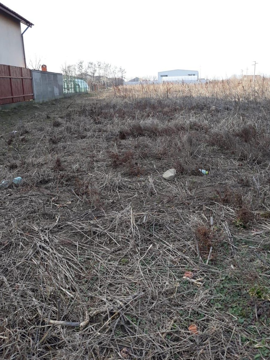 Vânzare teren intravilan Copăceni Ilfov